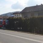 Fotka nr 5 z 7