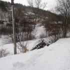 zdjęcie nr 7