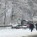 zdjęcie nr 7