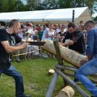 Fotka nr 2 z 13