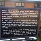 zdjęcie nr 34