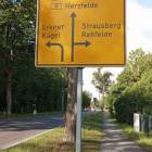 zdjęcie nr 14