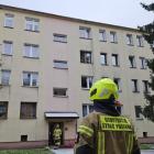 Fotka nr 4 z 9