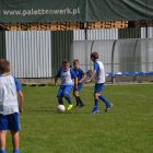 zdjęcie nr 10