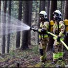 Fotka nr 5 z 26