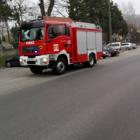 Fotka nr 1 z 2