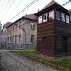 Fotka nr 4 z 52