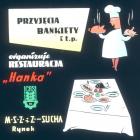 zdjęcie nr 14