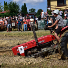 zdjęcie nr 138