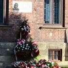 zdjęcie nr 83