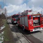 Fotka nr 2 z 7
