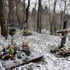 zdjęcie nr 14