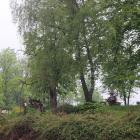 zdjęcie nr 52