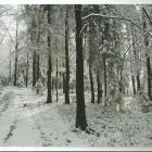zdjęcie nr 21