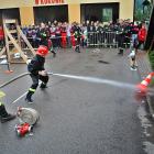 Fotka nr 4 z 10