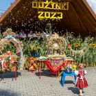 zdjęcie nr 33