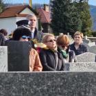 zdjęcie nr 31