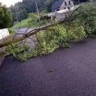 Fot. Małopolska Alarmowo 