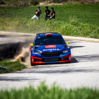 Fotka nr 1 z 15