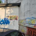 Fotka nr 1 z 3