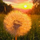 zdjęcie nr 23