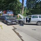 Fotka nr 2 z 4