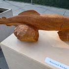 zdjęcie nr 7