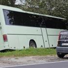Fotka nr 2 z 11