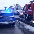 Fotka nr 1 z 11