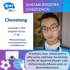 Fotka nr 1 z 11
