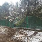 Fot. PSP w Suchej Beskidzkiej