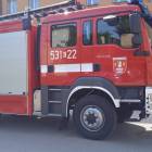 Fotka nr 3 z 6