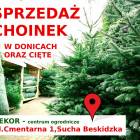 Fotka nr 0 z 11