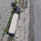 Fotka nr 1 z 6