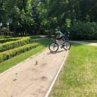 zdjęcie nr 10