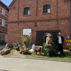 zdjęcie nr 39
