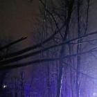  fot.: Małopolska Alarmowo 
