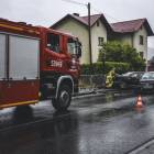 Fotka nr 5 z 8