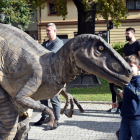 zdjęcie nr 8