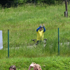 zdjęcie nr 107