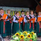 zdjęcie nr 187