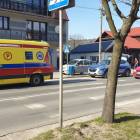 Fotka nr 1 z 3