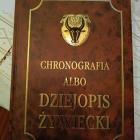 Fotka nr 5 z 6