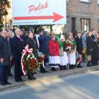 zdjęcie nr 54