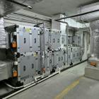 Fotka nr 3 z 13