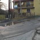 Fotka nr 3 z 7