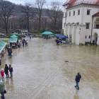 zdjęcie nr 51