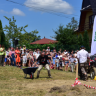 zdjęcie nr 129