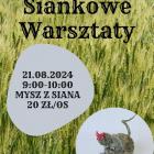 Fotka nr 2 z 8