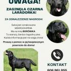 Fotka nr 0 z 1